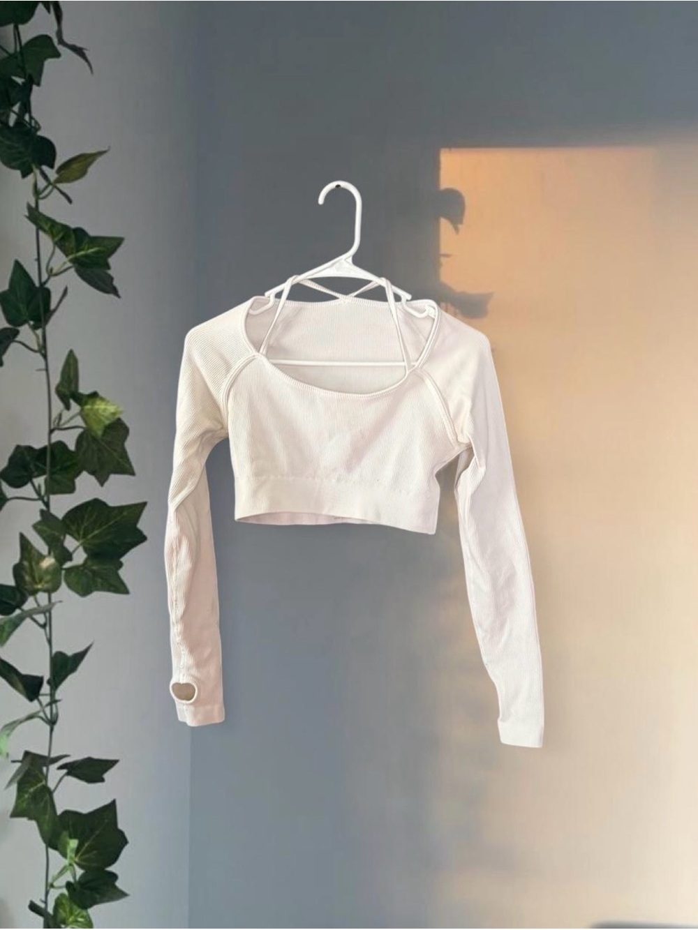 Cropped Long-Sleeve Scoop Neck Top in Cream